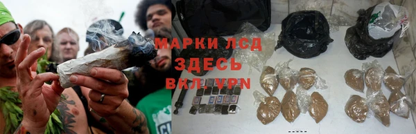 бошки Алзамай