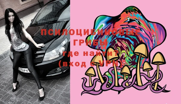 бошки Алзамай
