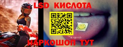 гидра Владимир