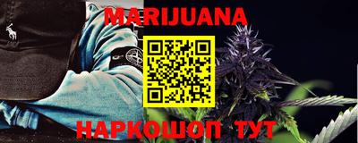 прущие грибы Владикавказ