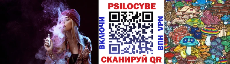 даркнет сайт Махачкала ОМГ ОМГ ссылки Псилоцибиновые грибы прущие грибы